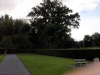 20210606_172802.jpg