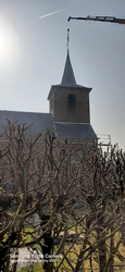 20220325_105350 - Kopieën.png